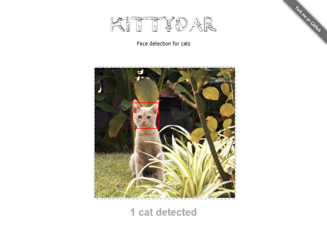 Kittydar App